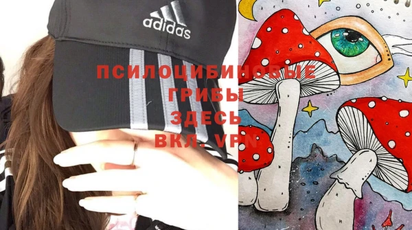 ALPHA PVP Алексеевка